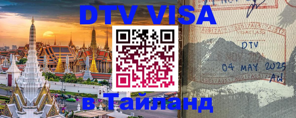 Сколько стоит DTV виза — актуальные цены, оформление даже без документов - 21.11.2025 